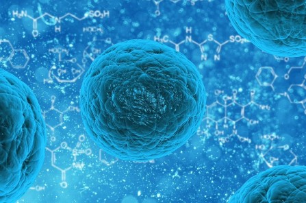 Researchers Developed an Engineered P. Aeruginosa Strain to Realize the Optical Control of the Movement Behavior of the Bacteria