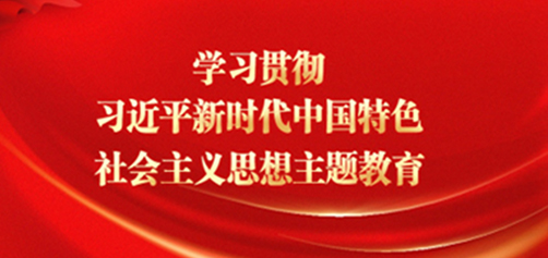 学习贯彻习近平新时代中国特色社会主义思想主题教育